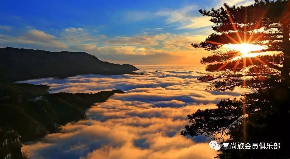 游泳卡退卡技巧_游泳卡图片大全0031_游泳卡